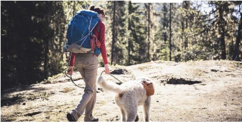 friend with benefits是什么意思？