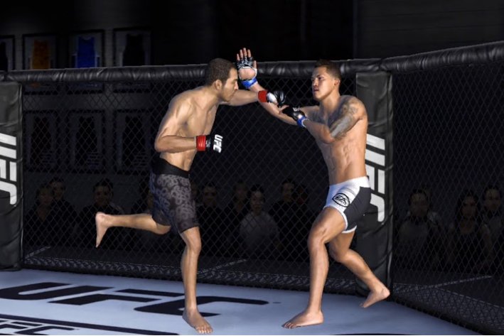 ufc是什么意思啊