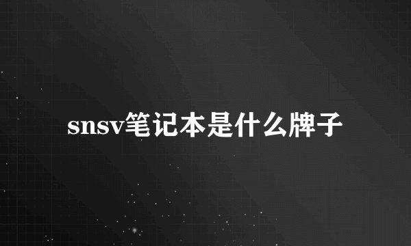 snsv笔记本是什么牌子