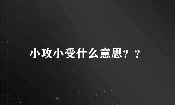 小攻小受什么意思？？