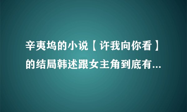 辛夷坞的小说【许我向你看】的结局韩述跟女主角到底有没有在一起？？？太深奥、、看得不大懂、、