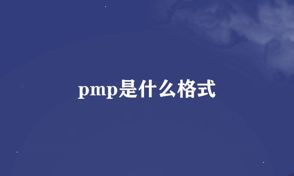 pmp是什么格式