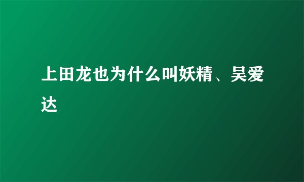 上田龙也为什么叫妖精、吴爱达