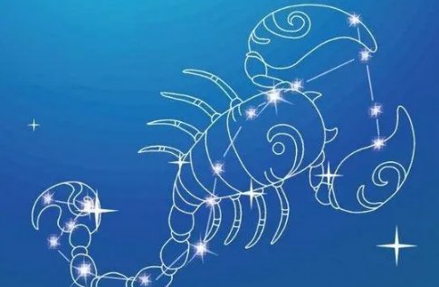 11月9号是什么星座