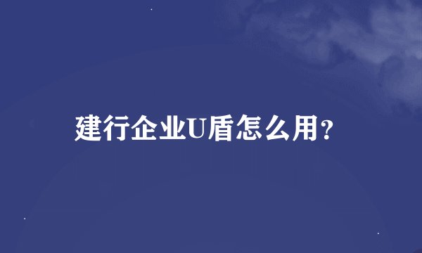 建行企业U盾怎么用？