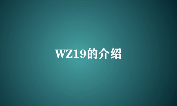 WZ19的介绍