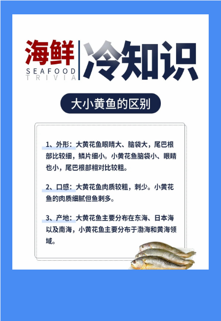 大小黄花鱼不是同一种鱼？