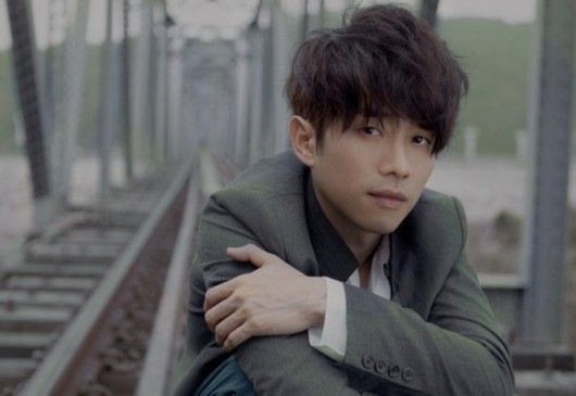 北极星的眼泪是哪部电视剧里的歌曲