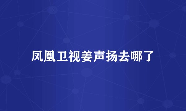 凤凰卫视姜声扬去哪了