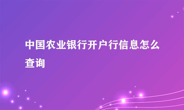 中国农业银行开户行信息怎么查询