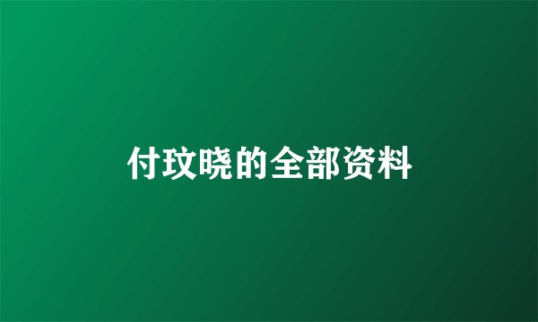 付玟晓的全部资料