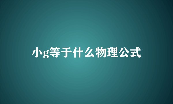 小g等于什么物理公式