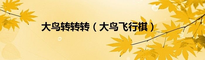 大鸟转转转大鸟飞行棋