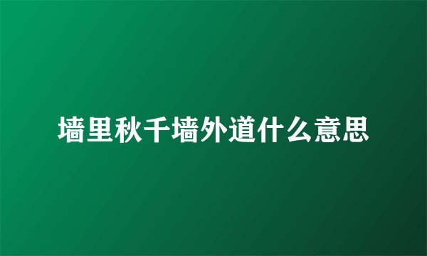 墙里秋千墙外道什么意思