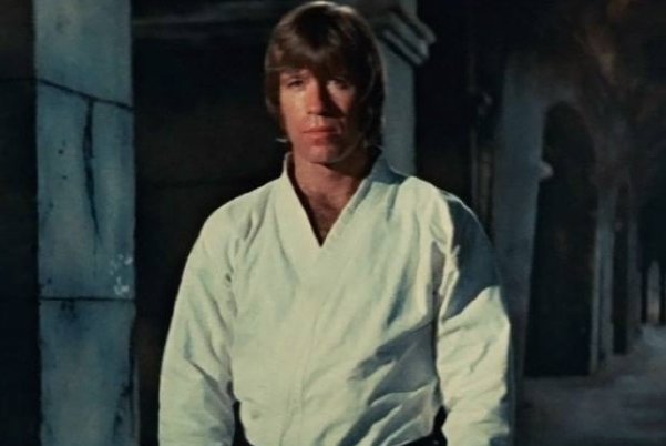 世界七大武术家