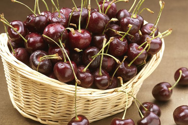 车厘子品种排名前十