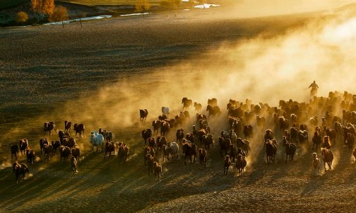 千军万马的意思
