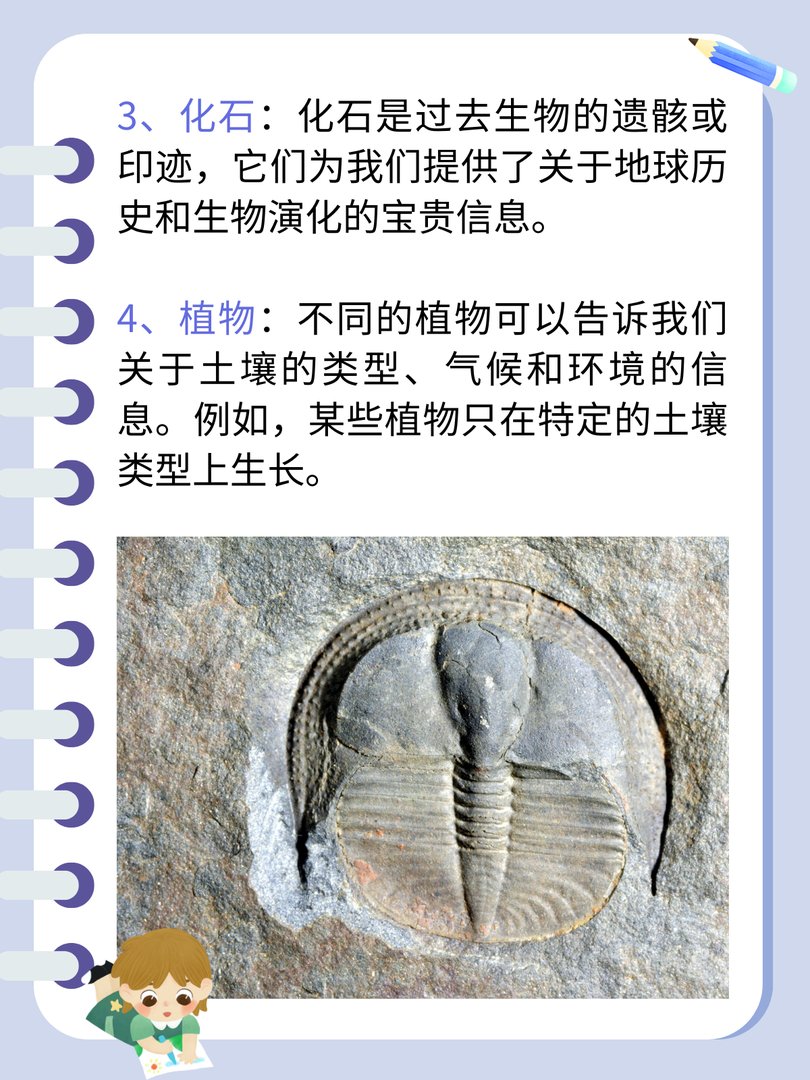 大自然的文字还有哪一些