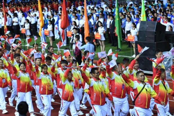 拉开帷幕什么意思