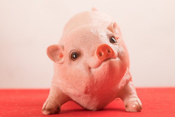 红口白牙什么生肖