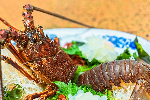 最贵龙虾十大排名