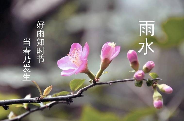 好雨知时节，当春乃发生什么意思？