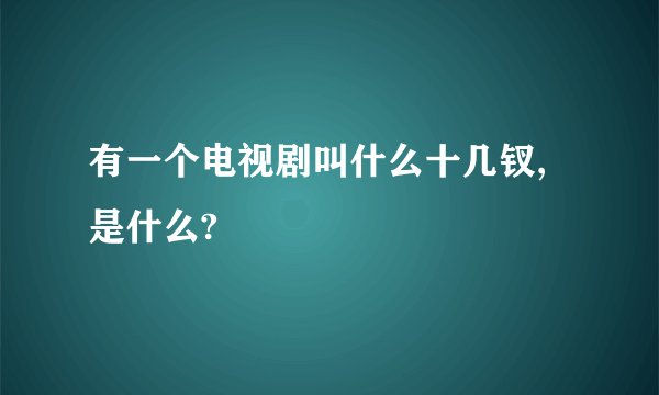有一个电视剧叫什么十几钗,是什么?