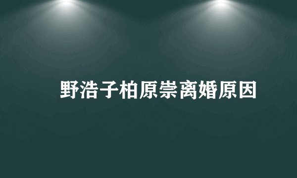畑野浩子柏原崇离婚原因