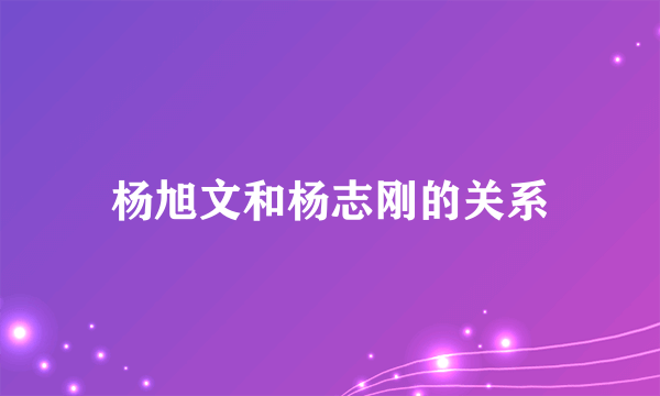 杨旭文和杨志刚的关系