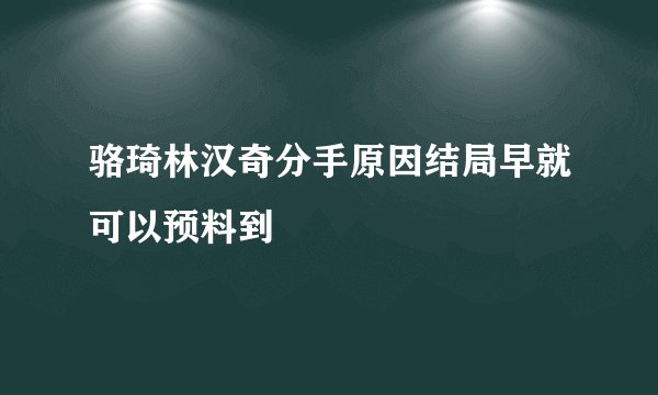 骆琦林汉奇分手原因结局早就可以预料到