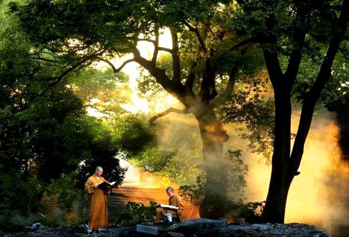 菩提本无树,何处惹尘埃的意思