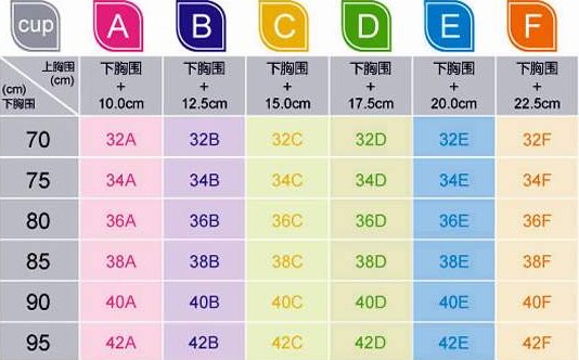 胸围32E和34D有什么区别？