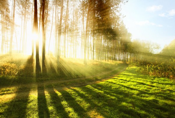 晨韵是什么意思