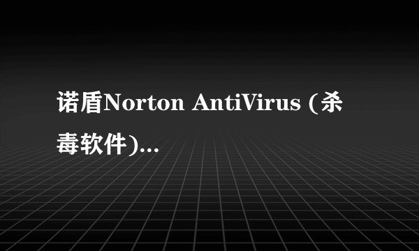 诺盾Norton AntiVirus (杀毒软件)的注册码是什么呀?