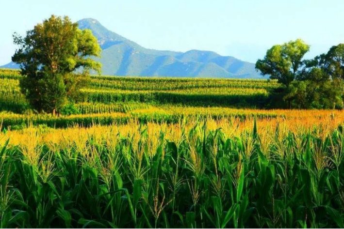 农事类谚语有哪些