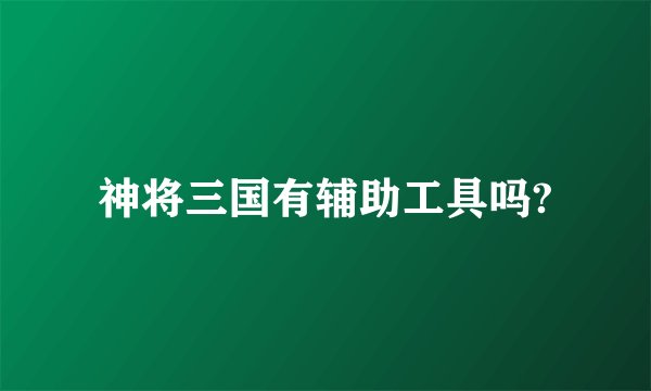 神将三国有辅助工具吗?