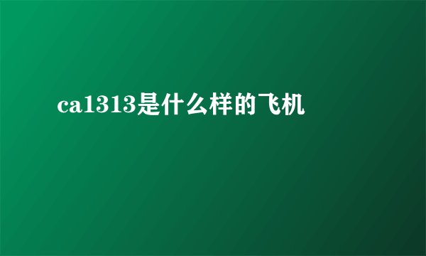 ca1313是什么样的飞机
