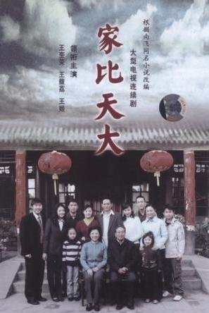 家比天大何珊结局