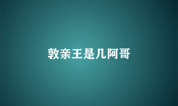 敦亲王是几阿哥