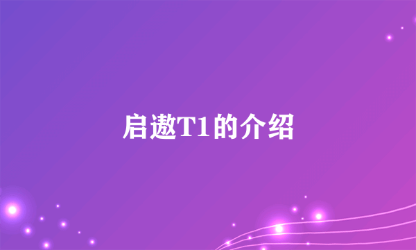 启遨T1的介绍