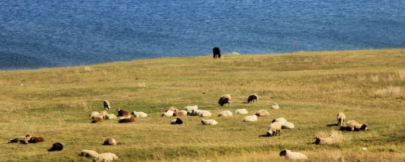 塞北江南是指哪里