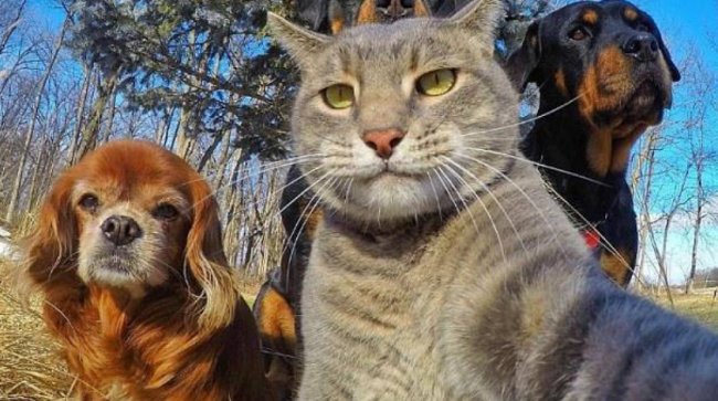 funny mud go pee是什么意思中文