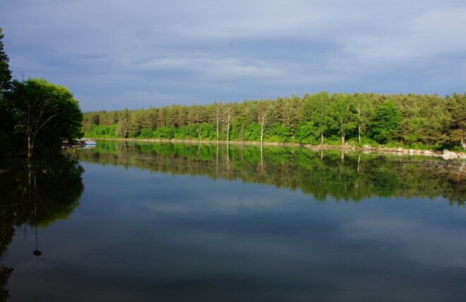 “多姿多彩”的近义词是什么?