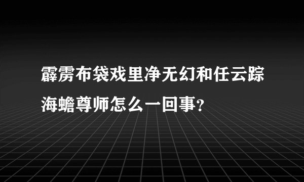 霹雳布袋戏里净无幻和任云踪海蟾尊师怎么一回事？