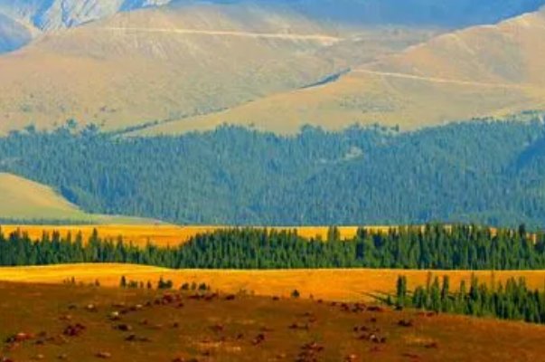 南之于西北正如西之于什么