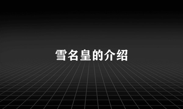 雪名皇的介绍