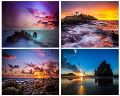 新报跑狗具体的规则?