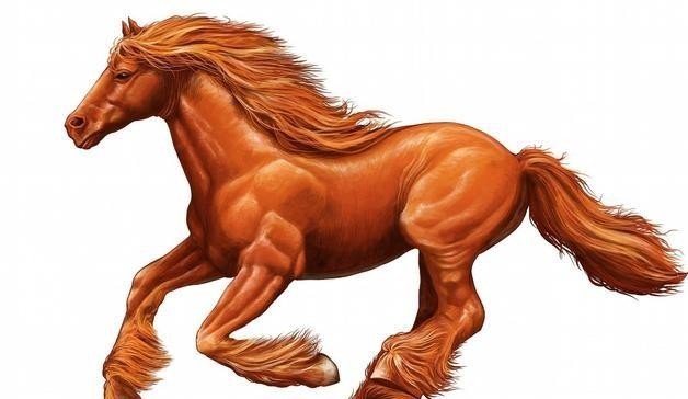 树大遮天打一正确生肖