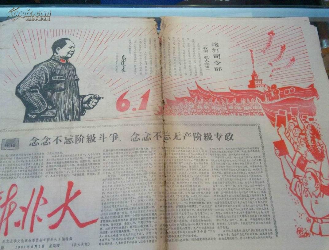 炮打司令部——我的一张大字报的背景