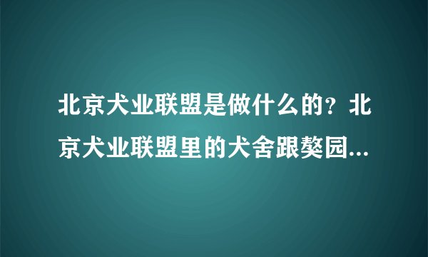 北京犬业联盟是做什么的？北京犬业联盟里的犬舍跟獒园又是怎么回事？